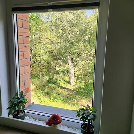 Apartman Chill Modlin Airport Kazun Nowy